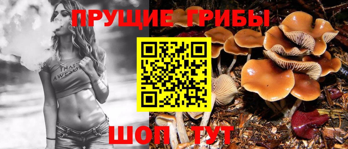 Муравленко  продажа наркотиков  Вход с VPN  Псилоцибиновые грибы Cubensis 